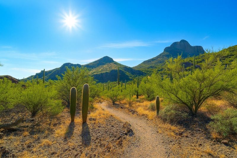 Best Shower Remodeling pros in Marana, AZ